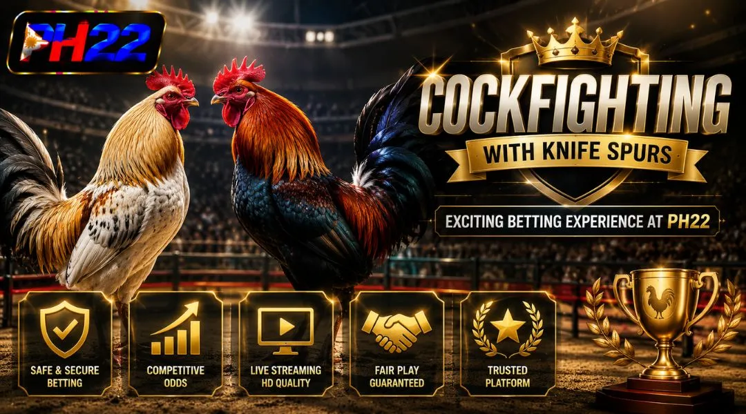 Cockfighting with knife spurs – Exciting Betting Experience at PH22